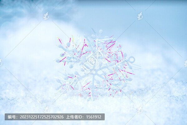 雪花雪景