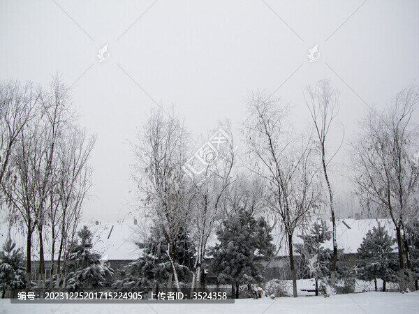 雪中村