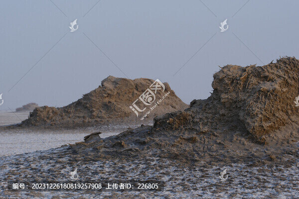 輪南鹽堿地
