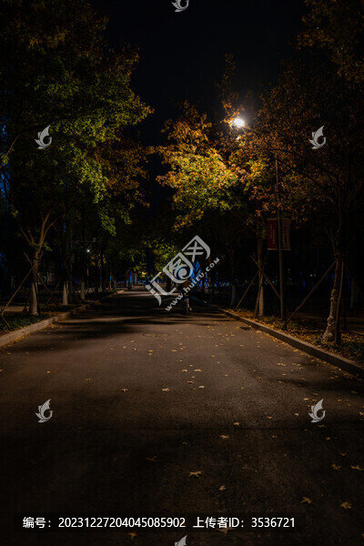 夜間的小路