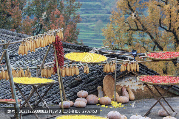 篁嶺曬秋