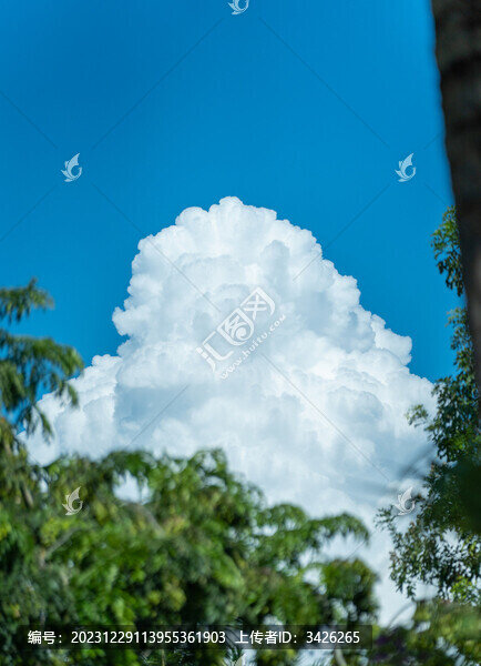 天空中的云