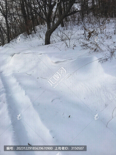 林中雪景
