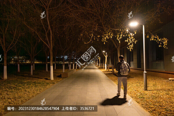 黑夜路燈下的背影