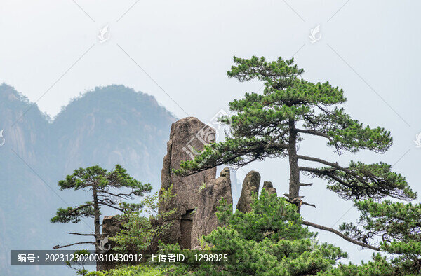 黃山風光