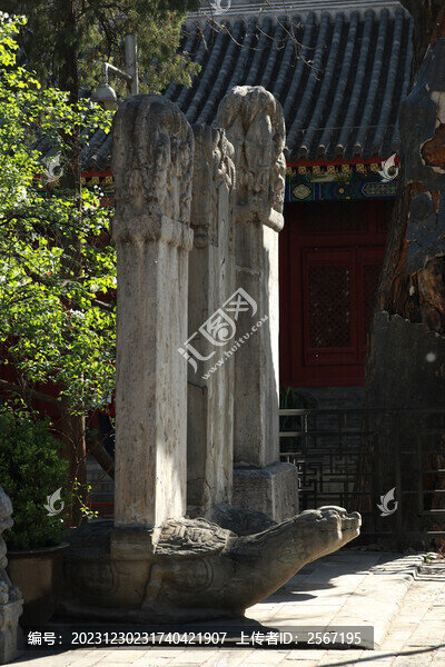 春天北京法源寺丁香花盛開