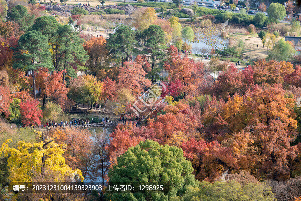 蘇州天平山秋景