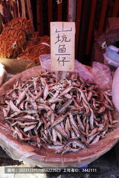 山坑魚仔