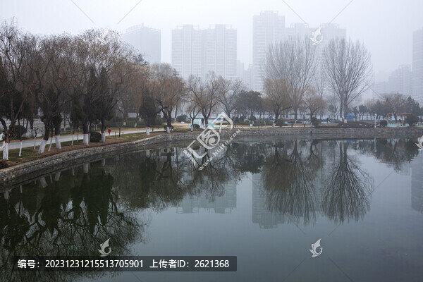 公園大霧