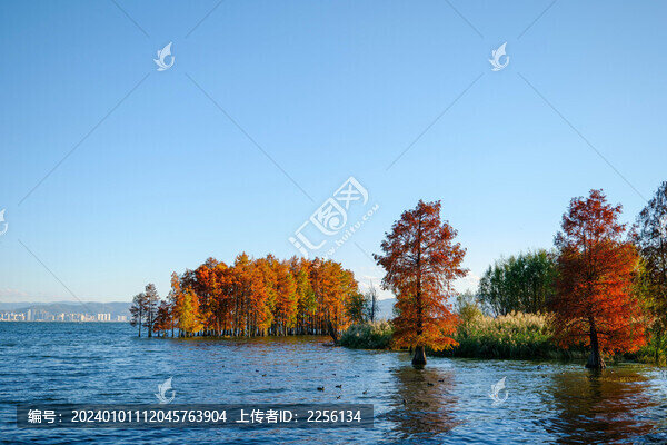 蒼山洱海