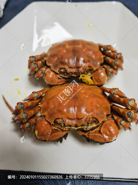 大閘蟹