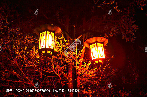 公園里的路燈