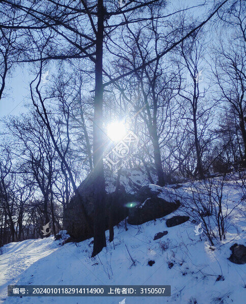 山中雪
