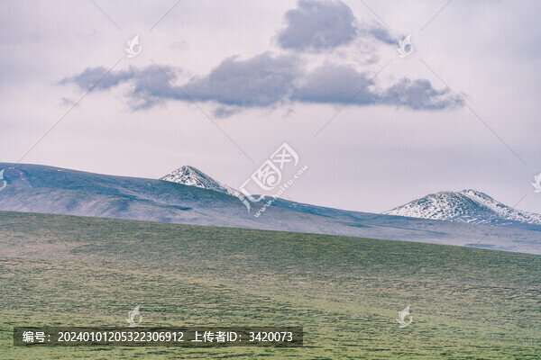 中國青海省阿尼瑪卿的雪山和草地
