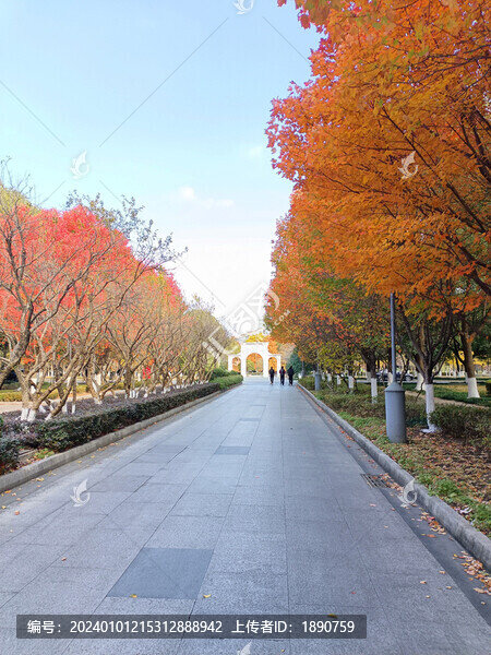 秋天的校園