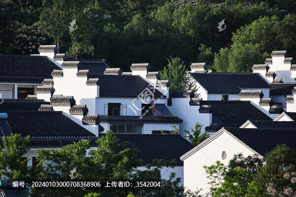 樺墅村屋頂修圖
