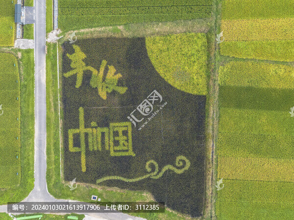 長沙隆平稻作公園