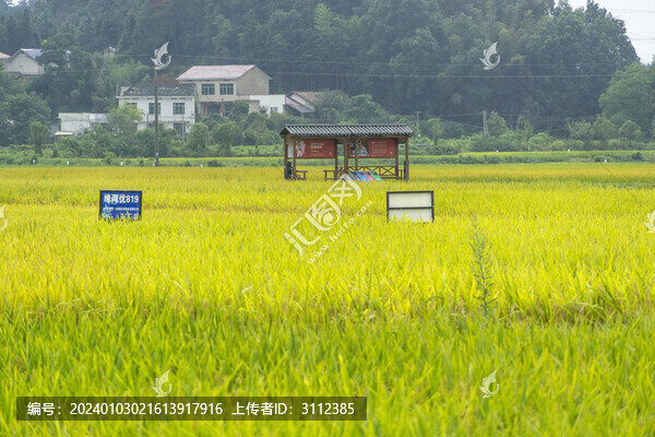 長沙隆平稻作公園