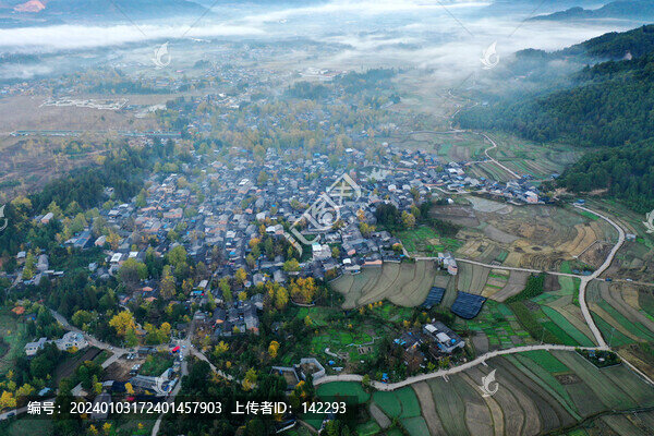 銀杏村風(fēng)光