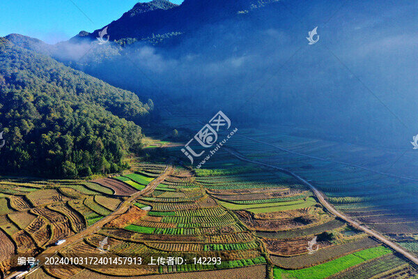 銀杏村風(fēng)光