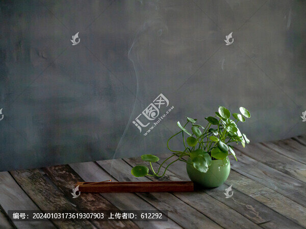沉香繚繞銅錢草