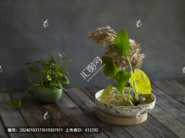 植物裝飾畫