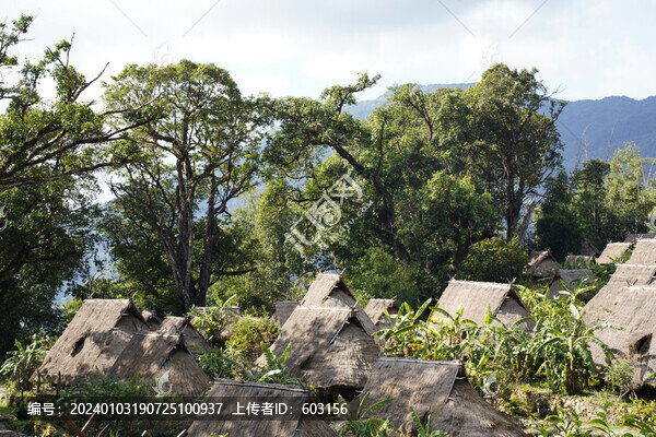 翁丁