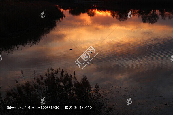 濕地黃昏