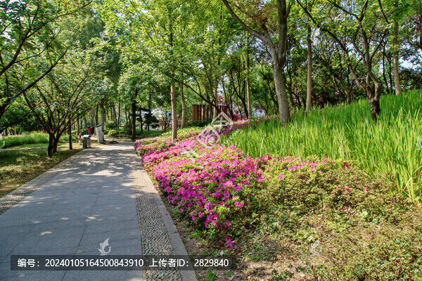 公園綠化