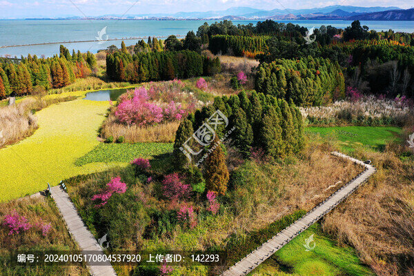 滇池風(fēng)光