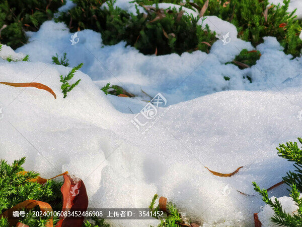 雪景
