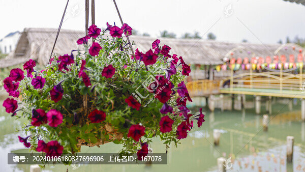 水上園林