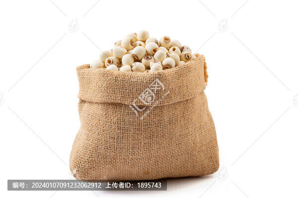 白蓮子食材