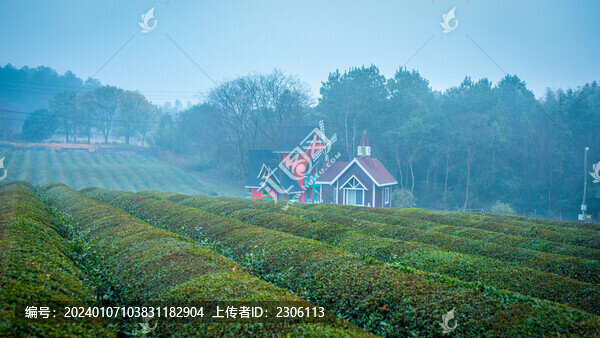 生態(tài)茶園