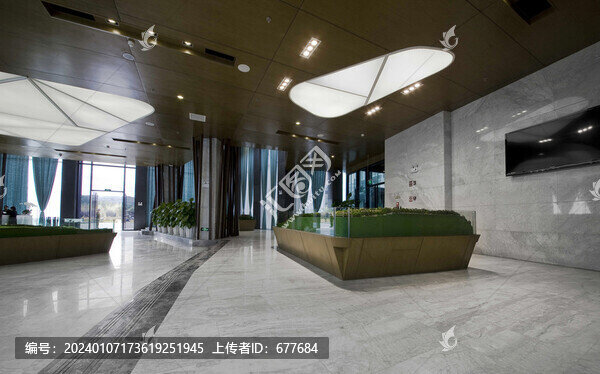 酒店會所會客廳接待廳裝飾