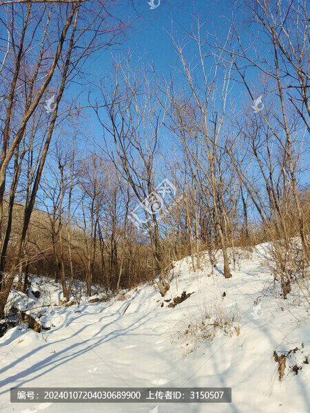 山中雪景