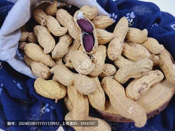 黑花生