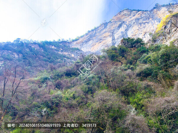 大山懸崖