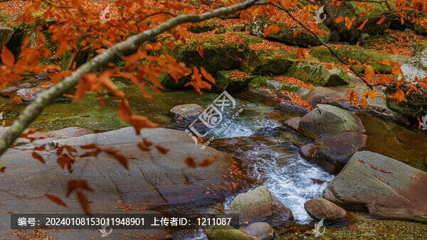 光霧山水