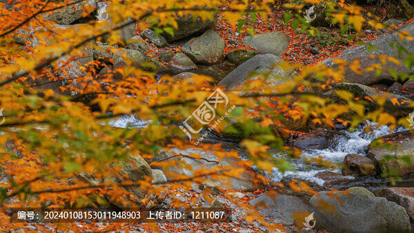 光霧山水