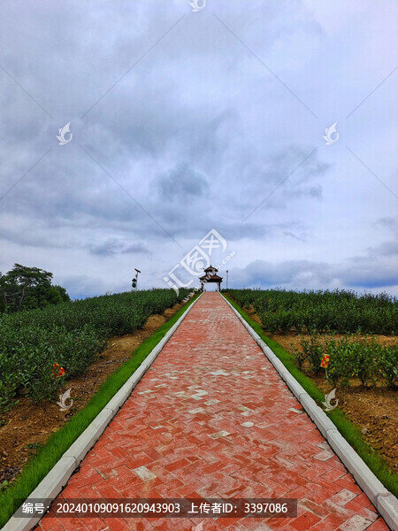 山頂小徑