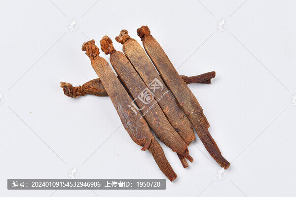紅參高麗參