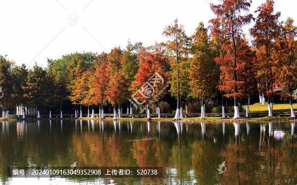 寧波日湖