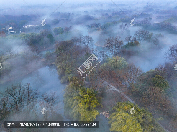 云霧下的杭州西溪顯地公園