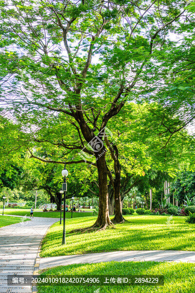 草地綠地公園一角