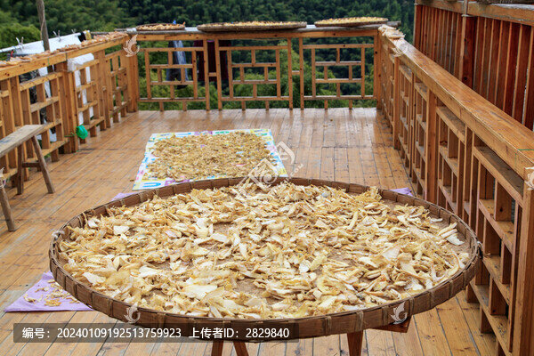 晾曬竹筍