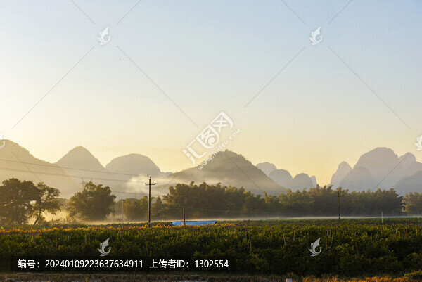 廣西鐘山燕塘果園風(fēng)光大圖