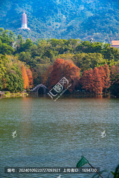 仙湖秋景