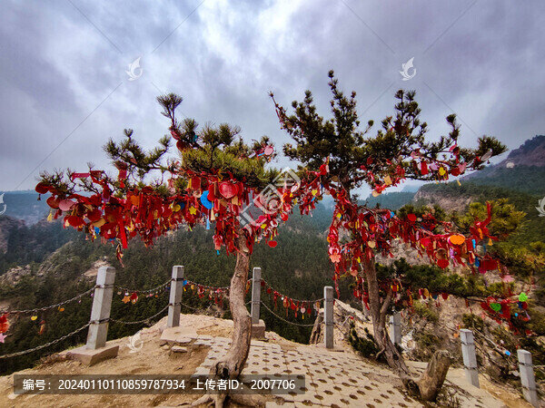 賀蘭山祈福樹(shù)