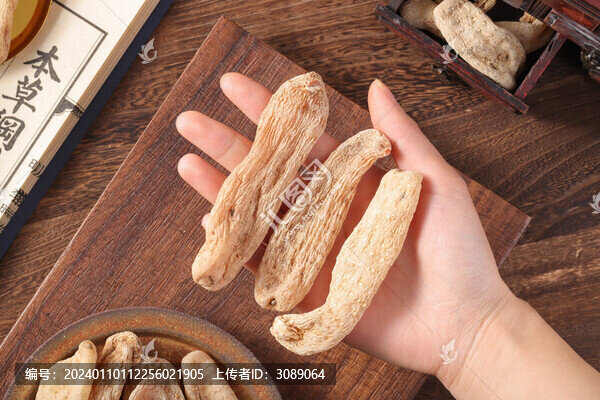 野生天麻